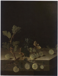 Still life with a spray of gooseberries by Adriaen Coorte