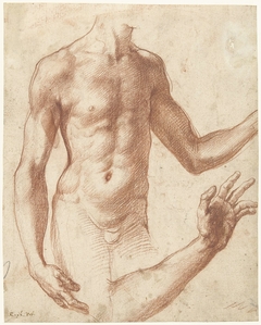 Study of a Torso by Perino del Vaga