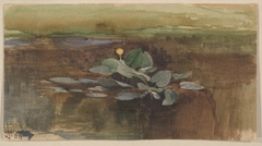 Study of a Water Lotus by Thomas Moran