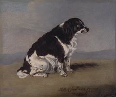 The Duchess of York's Spaniel by Henry Bernard Chalon