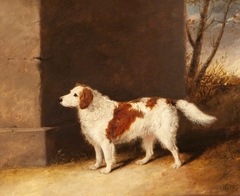 The Favourite Dog of Lord Charles Vere Ferrers Townshend (1785-1853) by possibly Abraham Cooper