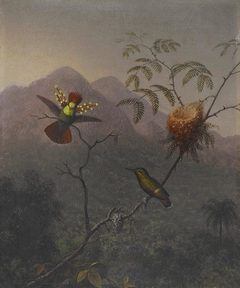 Tufted Coquette by Martin Johnson Heade