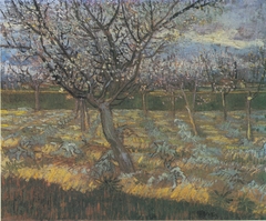 Flowering orchard with apricot-trees by Vincent van Gogh