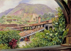 View of the Old Gold Works from the Verandah at Morro Velho, Brazil by Marianne North