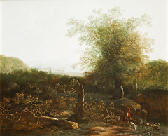 Wooded Landscape with a Ford by Adam Pynacker