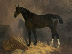 'Yeoman': a Racehorse in a Stable by Alfred Sheldon Williams