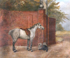 A Dapple-grey Horse with Dogs by Evelyn Blacklock