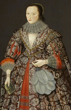 A Lady of the Morgan Family by Anonymous