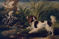 A Spaniel Frightening Ducks by James Ward