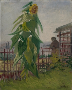 Allotment with Sunflower by Vincent van Gogh