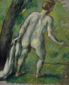 Baigneur, vu de dos by Paul Cézanne