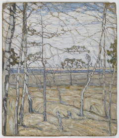 Birch Trees by Abraham A Manievich