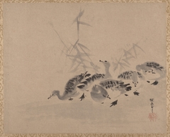 Ducks and Reeds by Kanō Tan'yū