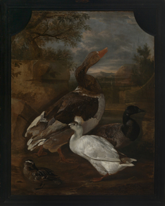 Gans en eenden in landschap. by Cornelia de Rijck