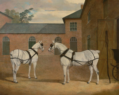 Grey carriage horses in the coachyard at Putteridge Bury, Hertfordshire by John Frederick Herring