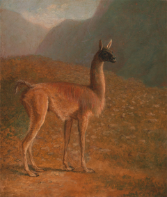 Guanaco by Jacques-Laurent Agasse