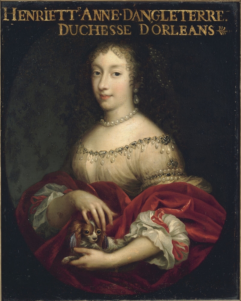 Exhibit image