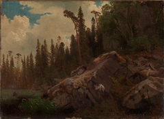 Landscape Study with Trees and Rocks by August Cappelen