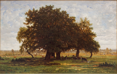 Les Chênes d'Apremont by Théodore Rousseau