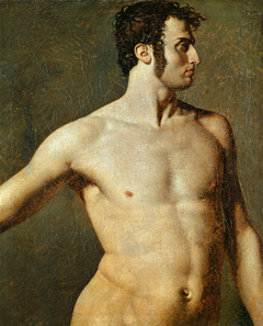 Male torso by Jean-Auguste-Dominique Ingres