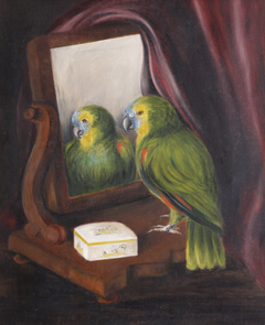 Miss Chichester's Parrot, 'Polly' by Rosalie Caroline Chichester