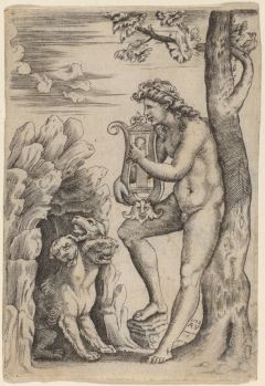 Orpheus by Agostino dei Musi