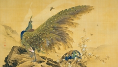 Peacocks by Araki Kanpo