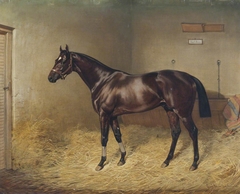 Pearl Diver, a Bay Race Horse, in a Stable by Emil Adam