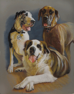 pet portrait by Robert Hartshorn