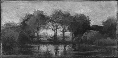 Pool in the Forest by Théophile de Bock