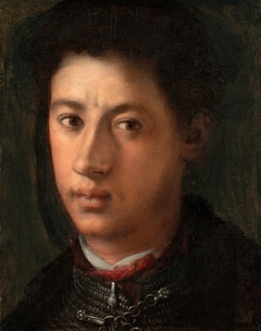 Alessandro de’ Medici by Pontormo