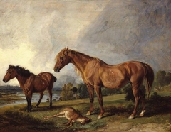 Portraits of Blackthorn, a Broodmare, with Old Jack, a Favourite Pony, the Property of E. Mundy, Esq. by James Ward