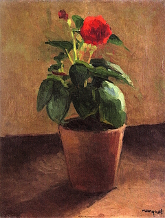 Pot of Flowers by Albert Marquet