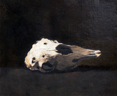 Sheep skull by Théodule Augustin Ribot