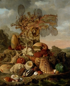 Shells and Marine Plants by Henricus Franciscus Wiertz