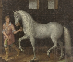 Spanish Warhorse Captured at the Battle of Nieuwpoort by Lodewijk Günther of Nassau-Siegen from Archduke Albert of Austria, given to Stadtholder Maurice of Orange by Jacob de Gheyn II