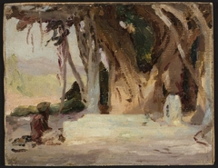 Study from the journey to India by Jan Ciągliński