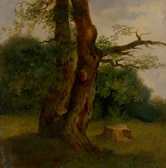 Study of a Leafy Tree by Jozef Božetech Klemens