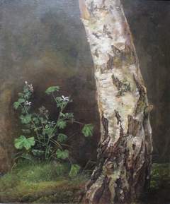 Study of the Lower Trunk of a Birch Tree by Johan Christian Dahl