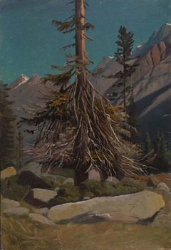 Study of Trees in the Alps by Knud Baade