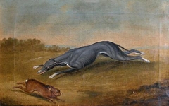 Untitled (Hound Chasing a Hare) by George Stubbs