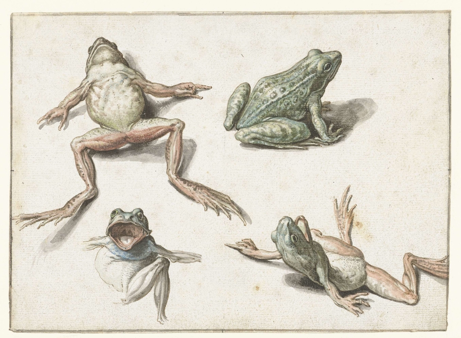 Exhibit image