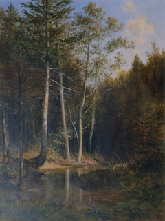 Waldpartie am Gerichtsberg bei Kaumberg by Ludwig Halauska