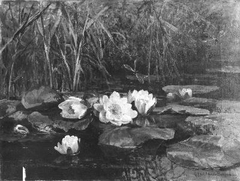 Waterlilies by Gerardina Jacoba van de Sande Bakhuyzen