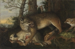 Wolf und Fuchs by Franz Rösel von Rosenhof