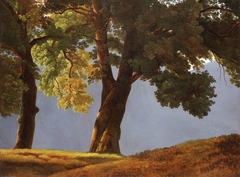 Arbres devant une vallée by Simon Denis