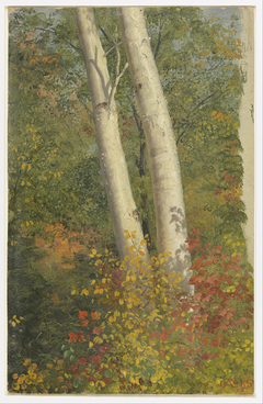 Birch Trees in Autumn by Frederic Edwin Church