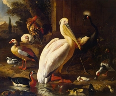 Birds in a Park by Melchior d'Hondecoeter