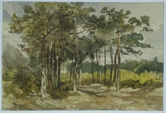 Boomgroep in de bossen bij Driebergen by Charles Rochussen