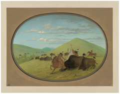 Buffalo Chase - Bulls Protecting the Calves by George Catlin